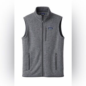 Patagonia Men's Gray Fleece Vest